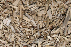 biomass boilers Ardendrain